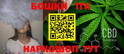 тгк Гусев