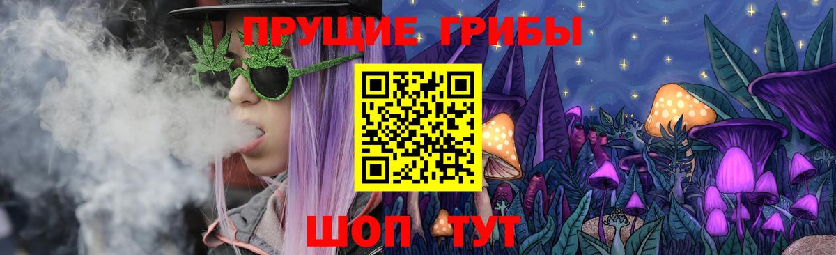 Заречный  Галлюциногенные грибы Psilocybe  наркотики  Вход с VPN 